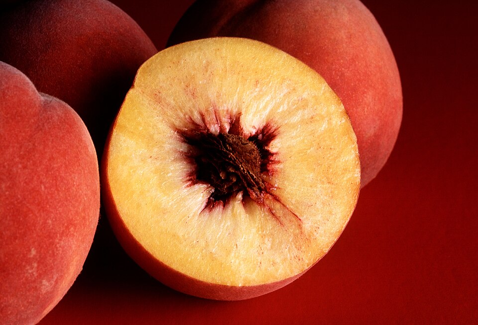 Pantone Peach Fuzz