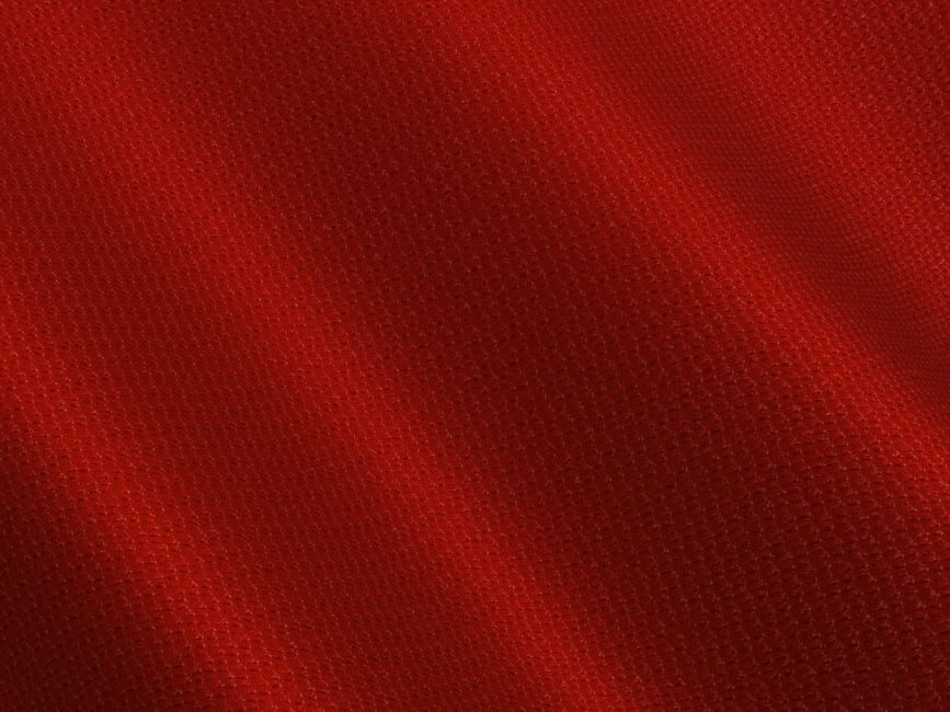 顺圣 — A close-up of red textured fabric showing smooth, subtle waves and pattern.